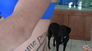 Татуировать красотки Клео Итс ярҙам ҡулы һуҙырға яратмай, оло ағзаһы төшөрөргә кәрәк ҡасан стресс, хатта күберәк, әгәр ул үҙ көллият йылы сперма ала алаһығыҙ! Сөнки мил! Ул видеоны тулы һәм бөтә Клио @ ItsCleoLive.com !